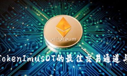 探索TokenImusDT的最佳交易通道与策略