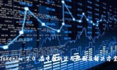 Tokenim 2.0 在中国的使用限
