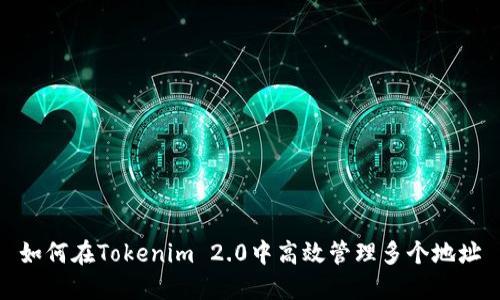 如何在Tokenim 2.0中高效管理多个地址