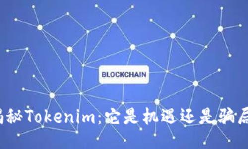 揭秘Tokenim：它是机遇还是骗局？