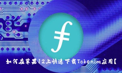 如何在苹果12上快速下载Tokenim应用？