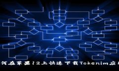 如何在苹果12上快速下载