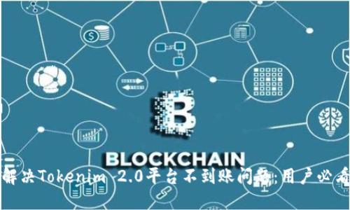 如何解决Tokenim 2.0平台不到账问题：用户必看指南