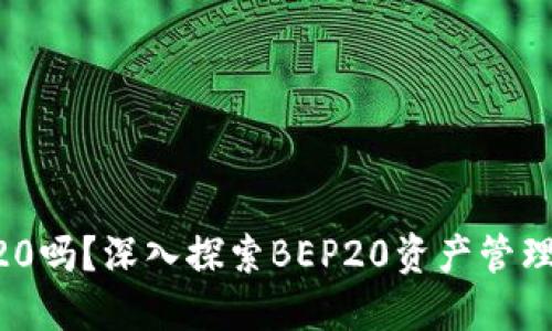 Tokenim支持BEP20吗？深入探索BEP20资产管理与Tokenim的功能
