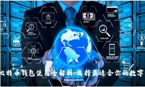 2023年国内比特币钱包使用全解析：选择最适合你的数字资产管理工具