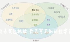揭秘比特币钱包地址：你