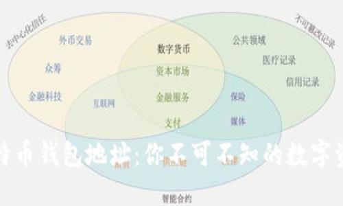 揭秘比特币钱包地址：你不可不知的数字资产账号