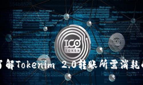 深入了解Tokenim 2.0转账所需消耗的资源