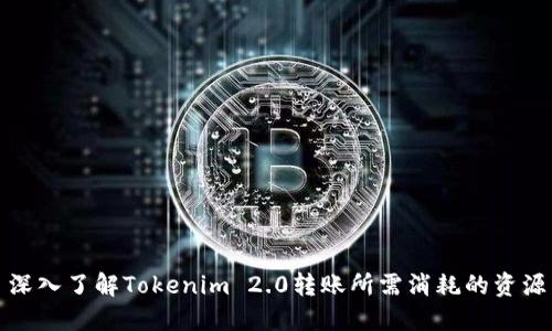 深入了解Tokenim 2.0转账所需消耗的资源