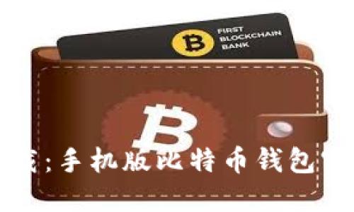 轻松下载：手机版比特币钱包官方指南