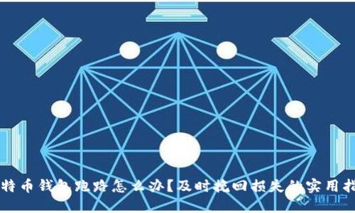 比特币钱包跑路怎么办？及时挽回损失的实用指南