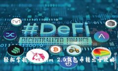 轻松掌握：Tokenim 2.0钱包币