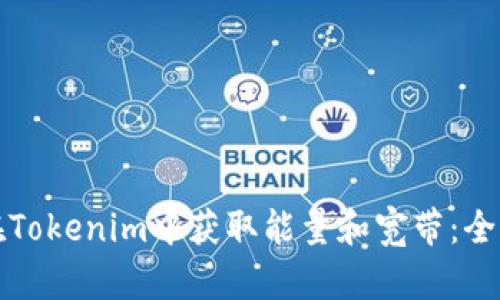 如何在Tokenim中获取能量和宽带：全面指南
