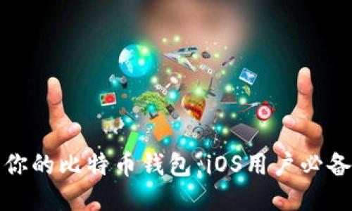 迅速获取你的比特币钱包：iOS用户必备下载指南