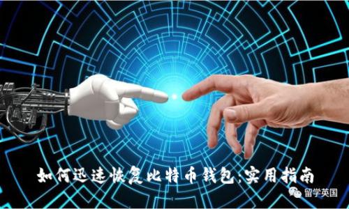 如何迅速恢复比特币钱包：实用指南