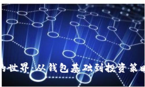 探索比特币的世界：从钱包基础到投资策略的全面指南