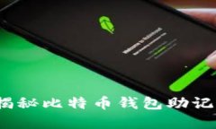 掌握安全：全方位揭秘比