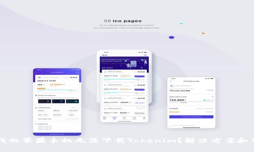 为什么我的苹果手机无法下载Tokenim？解决方案和常见问题
