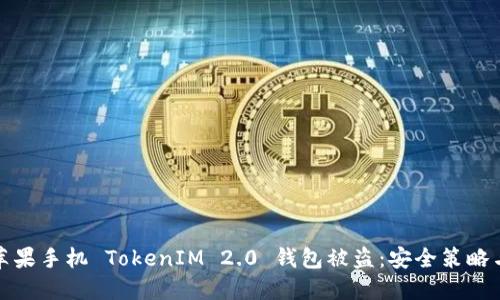 如何防止苹果手机 TokenIM 2.0 钱包被盗：安全策略与解决方案