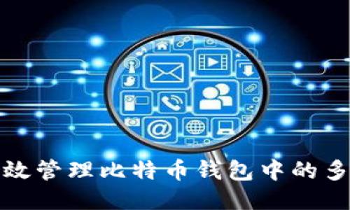 如何高效管理比特币钱包中的多个地址