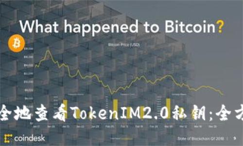 如何安全地查看TokenIM2.0私钥：全方位指南