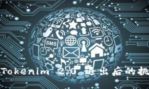 如何应对Tokenim 2.0 退出后的挑战与机遇