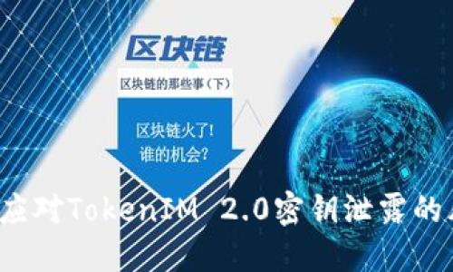 如何应对TokenIM 2.0密钥泄露的风险？