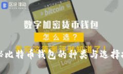 揭秘比特币钱包的种类与