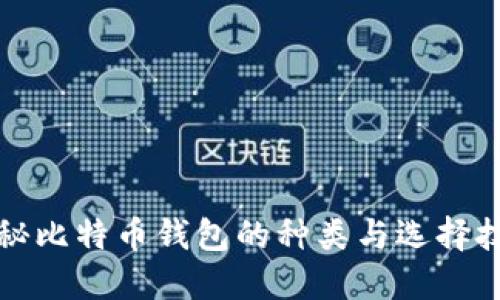 揭秘比特币钱包的种类与选择技巧