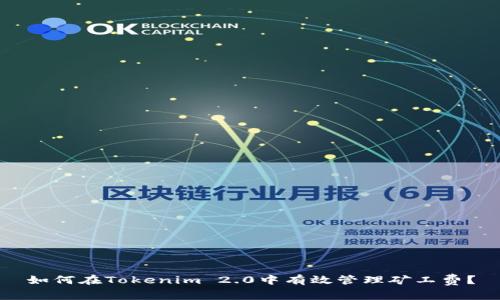 如何在Tokenim 2.0中有效管理矿工费？