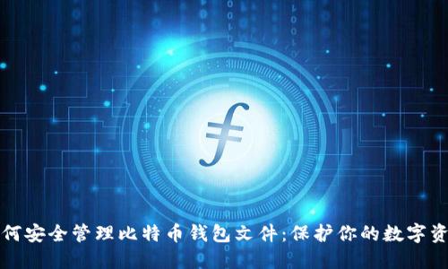 如何安全管理比特币钱包文件：保护你的数字资产