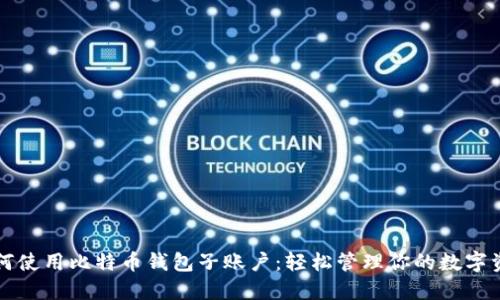 如何使用比特币钱包子账户：轻松管理你的数字资产