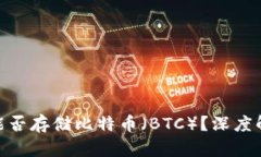 Tokenim 2.0能否存储比特币（
