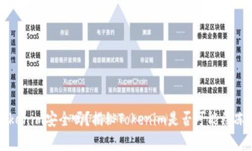 冷钱包Tokenim安全吗？揭秘Tokenim是否可能被冻结的真相