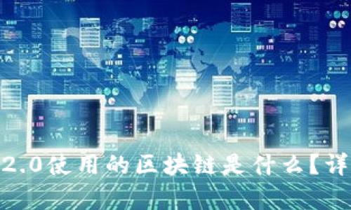 比特币提tokenim2.0使用的区块链是什么？详细解析及应用前景
