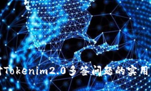 应对Tokenim2.0多签问题的实用指南