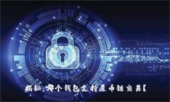 揭秘：哪个钱包支持屎币