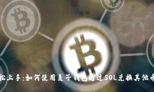 轻松上手：如何使用麦子钱包通过SOL兑换其他币种