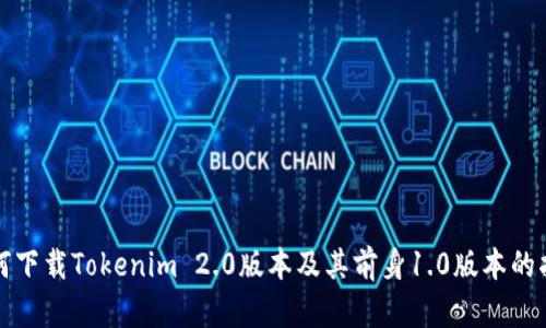 如何下载Tokenim 2.0版本及其前身1.0版本的指南