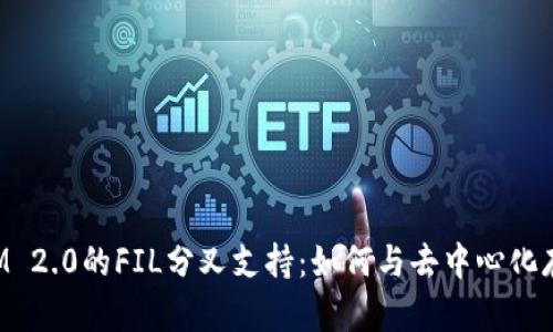 探索TokenIM 2.0的FIL分叉支持：如何与去中心化存储无缝连接
