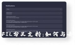 探索TokenIM 2.0的FIL分叉支持