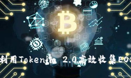 如何利用Tokenim 2.0高效收集EOS资产