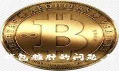 如何应对比特币钱包臃肿