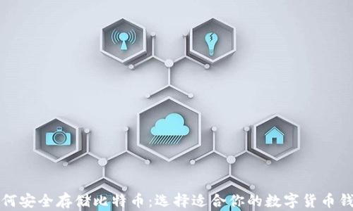 
如何安全存储比特币：选择适合你的数字货币钱包
