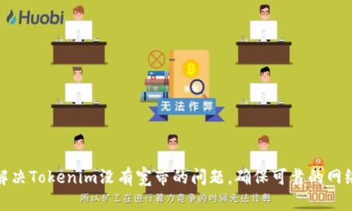 如何解决Tokenim没有宽带的问题，确保可靠的网络连接