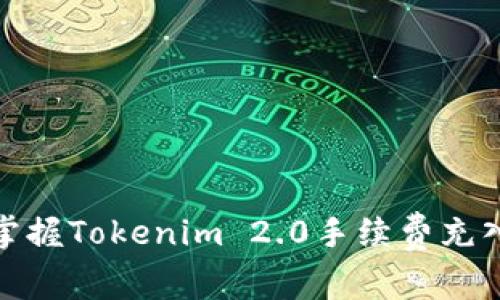 轻松掌握Tokenim 2.0手续费充入攻略