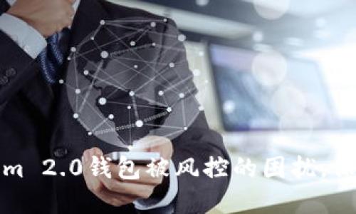 如何应对Tokenim 2.0钱包被风控的困扰，保障您的资产安全