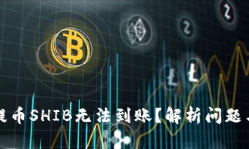 火币钱包提币SHIB无法到账？解析问题与解决方案