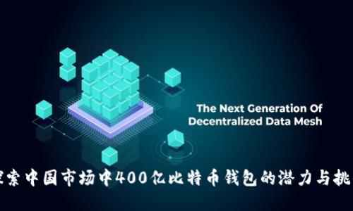 探索中国市场中400亿比特币钱包的潜力与挑战