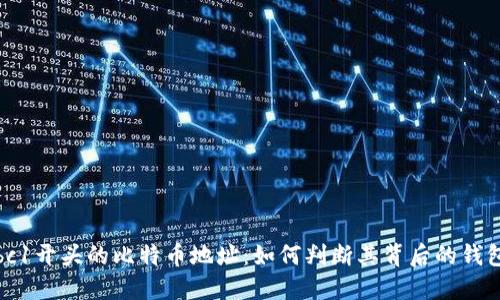探秘bc1开头的比特币地址：如何判断其背后的钱包类型